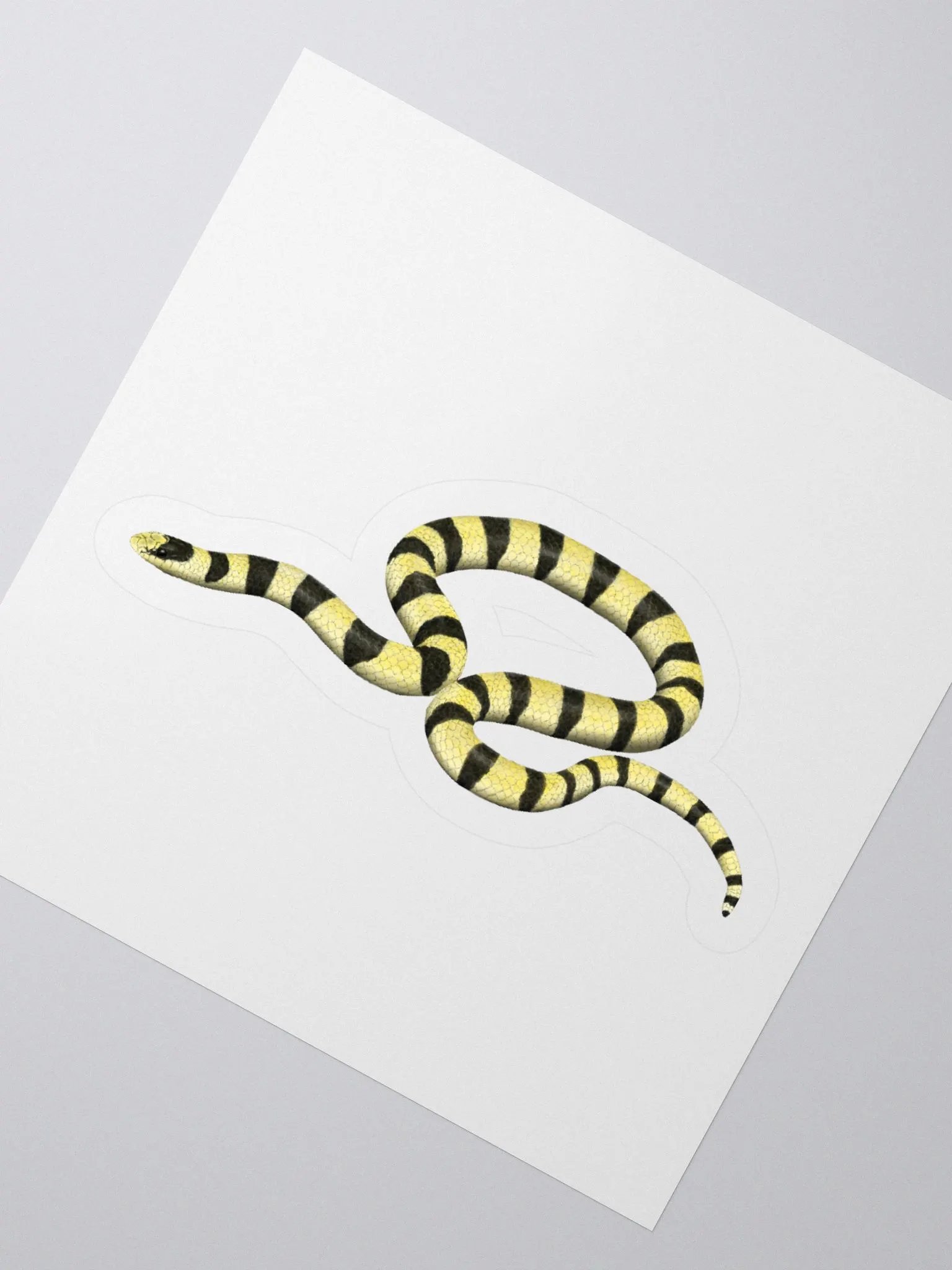 Die-Cut Sticker – Resplendent Shovelnosed Snake (Mohave Phase) product image (2)