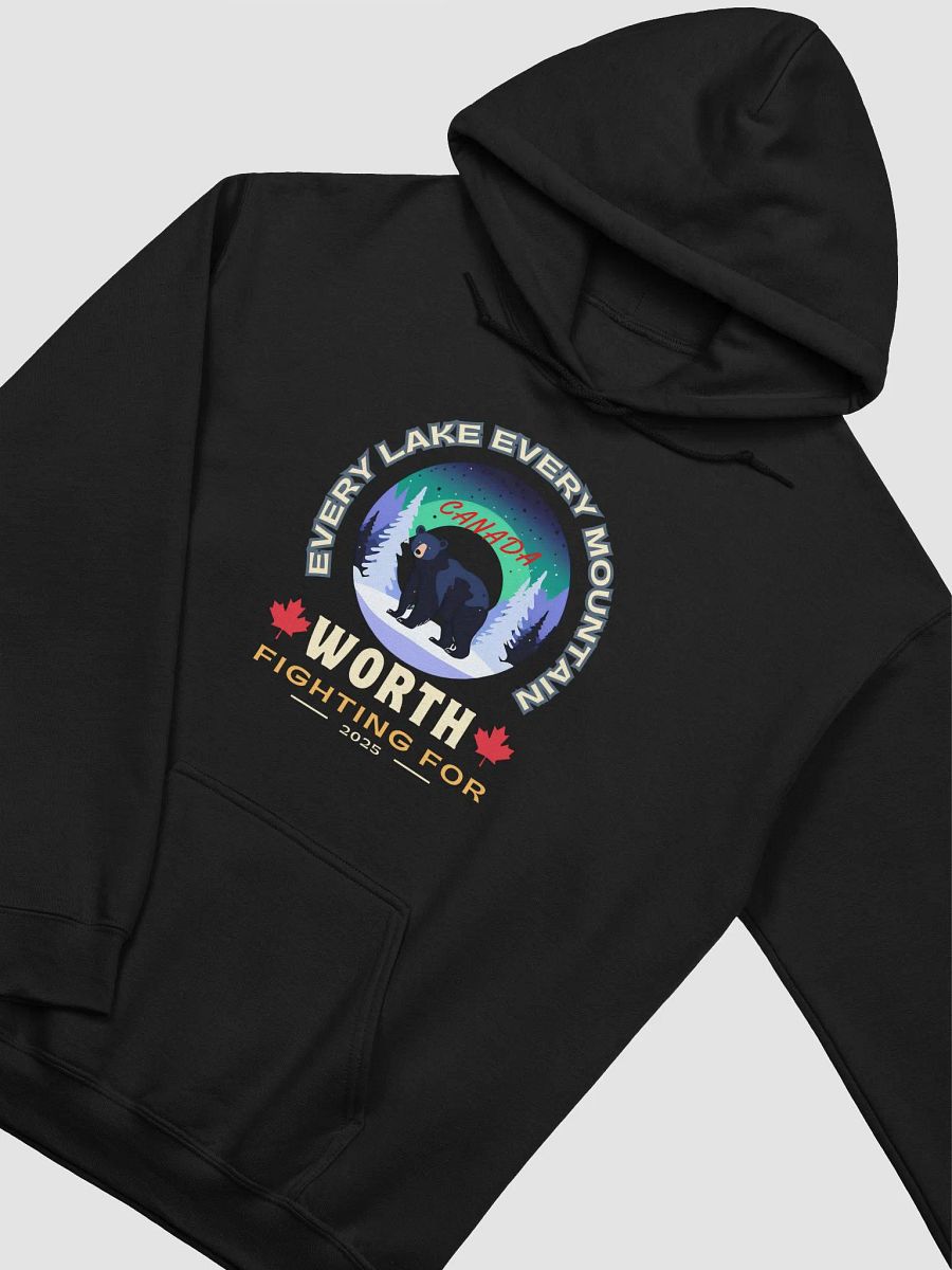 Aurora Bear Canada Hoodie product image (3)