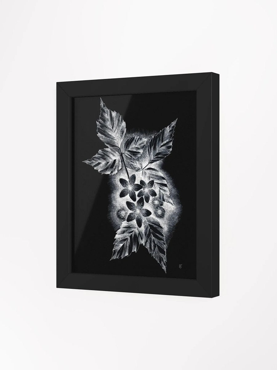 Monochrome Nature Beauty Framed Poster - Dark Jasmine product image (17)