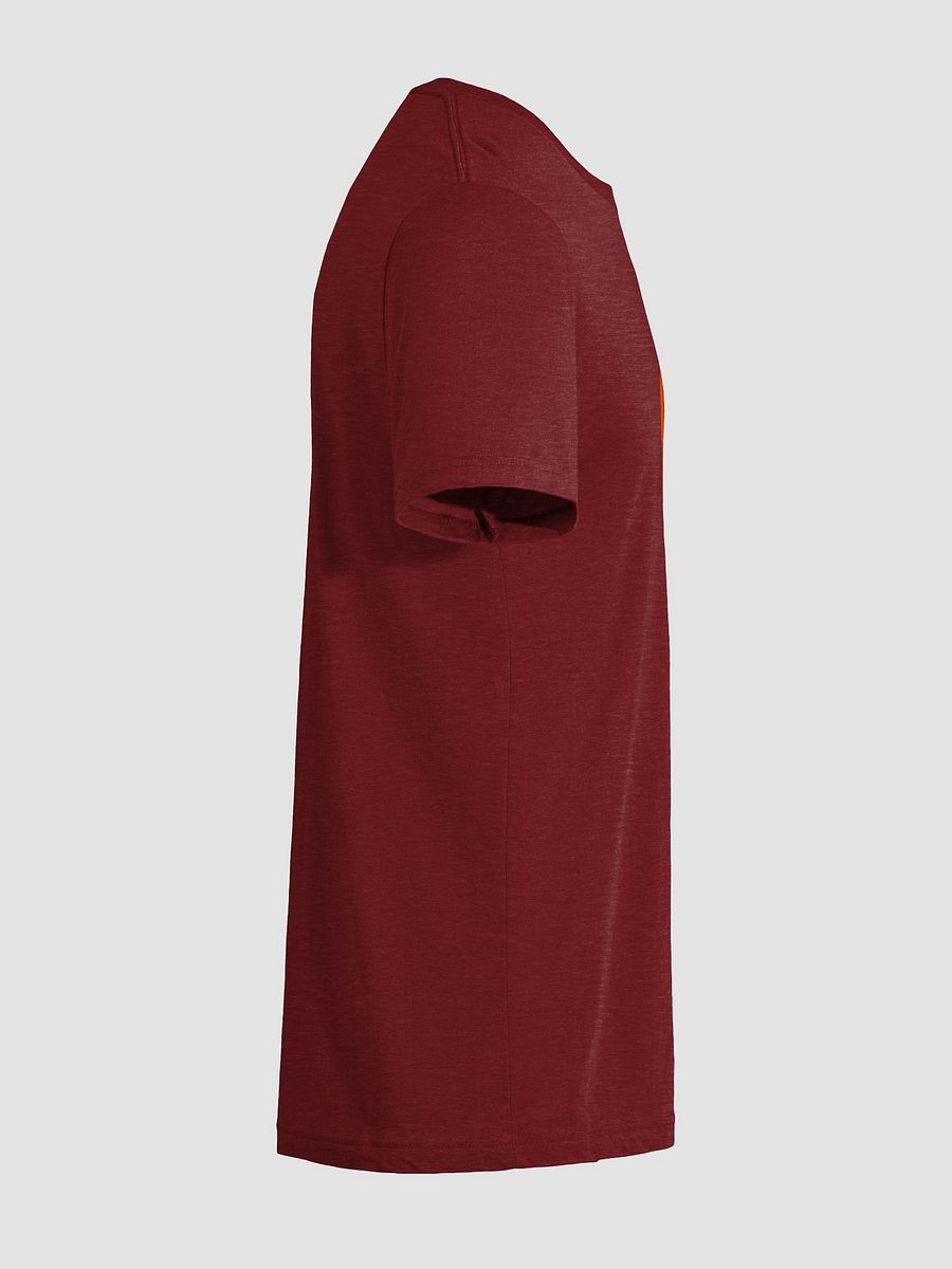 Sunlit Tree Triblend Tee product image (9)