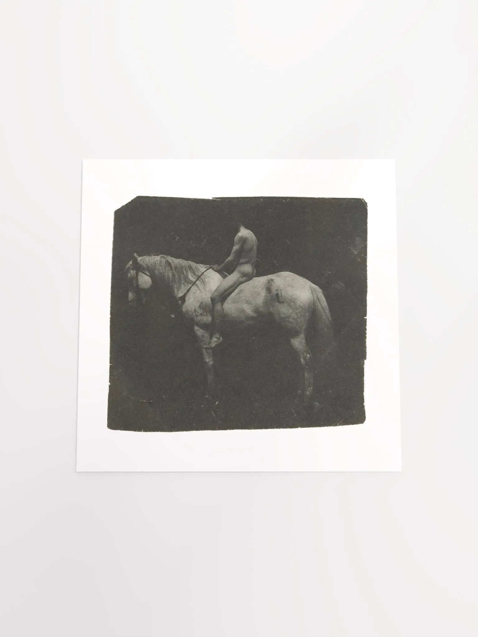 Samuel Murray Astride "Billy" by Thomas Eakins - Print product image (5)