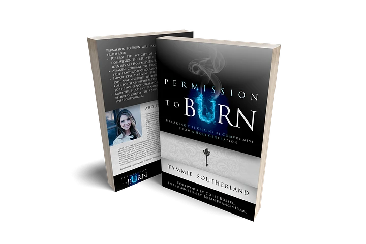 Permission to Burn: Breaking the Chains of Compromise from A Holy Generation product image (1)