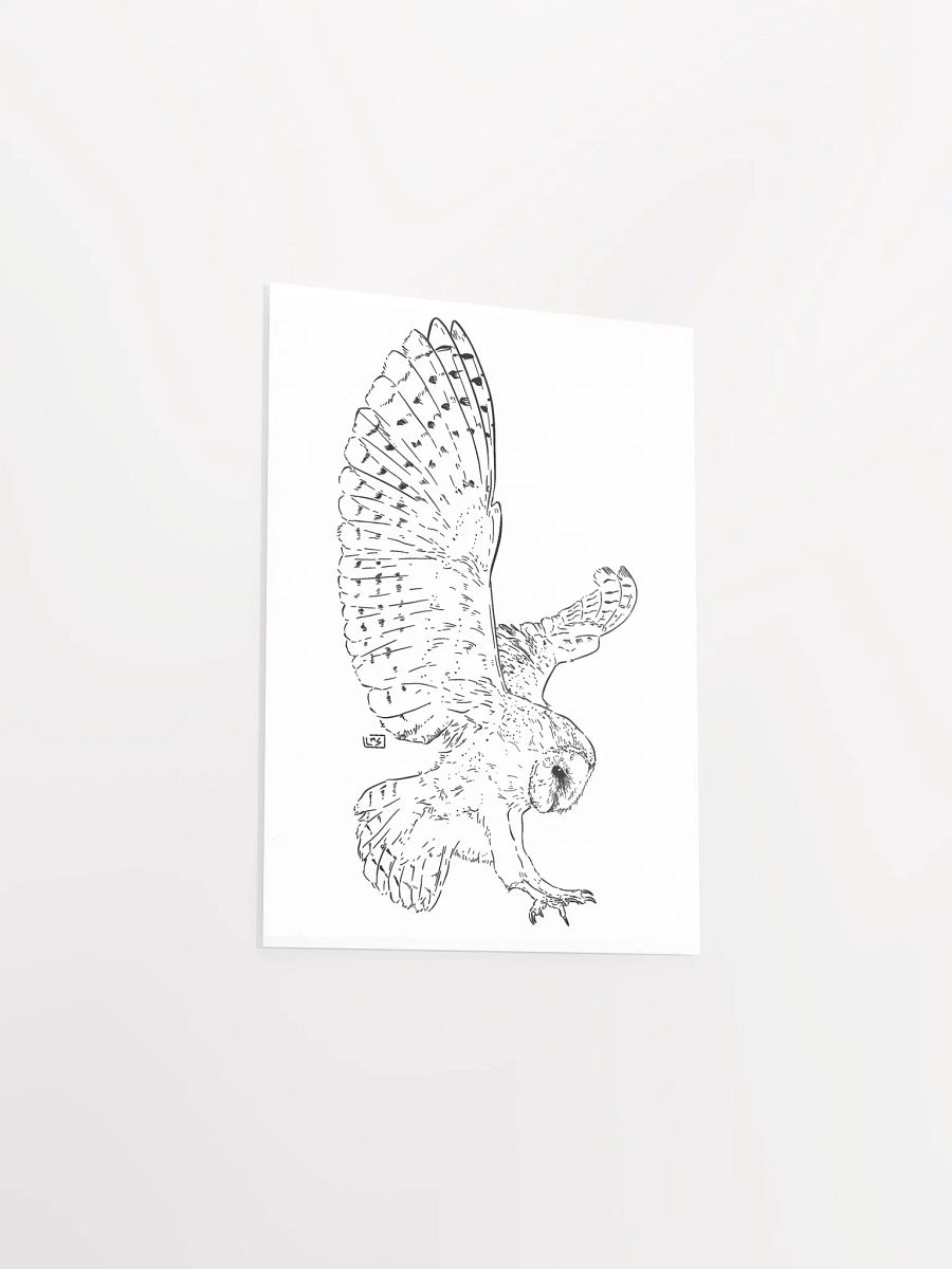 Take Flight - Poster Print product image (3)