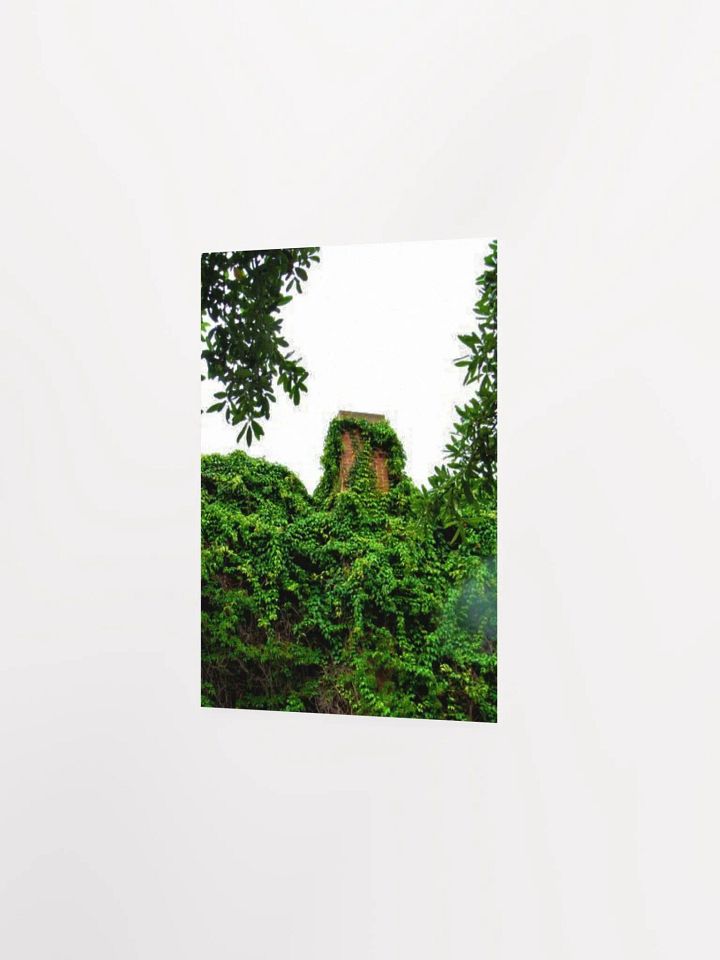 Plant Over-Growth product image (19)