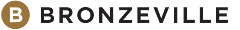BRONZEVILLE BOOKS - SAY LESS READ MORE