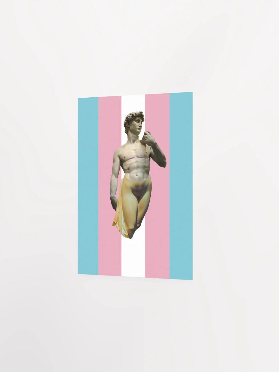 Trans Day of Visibility 3 Poster product image (2)