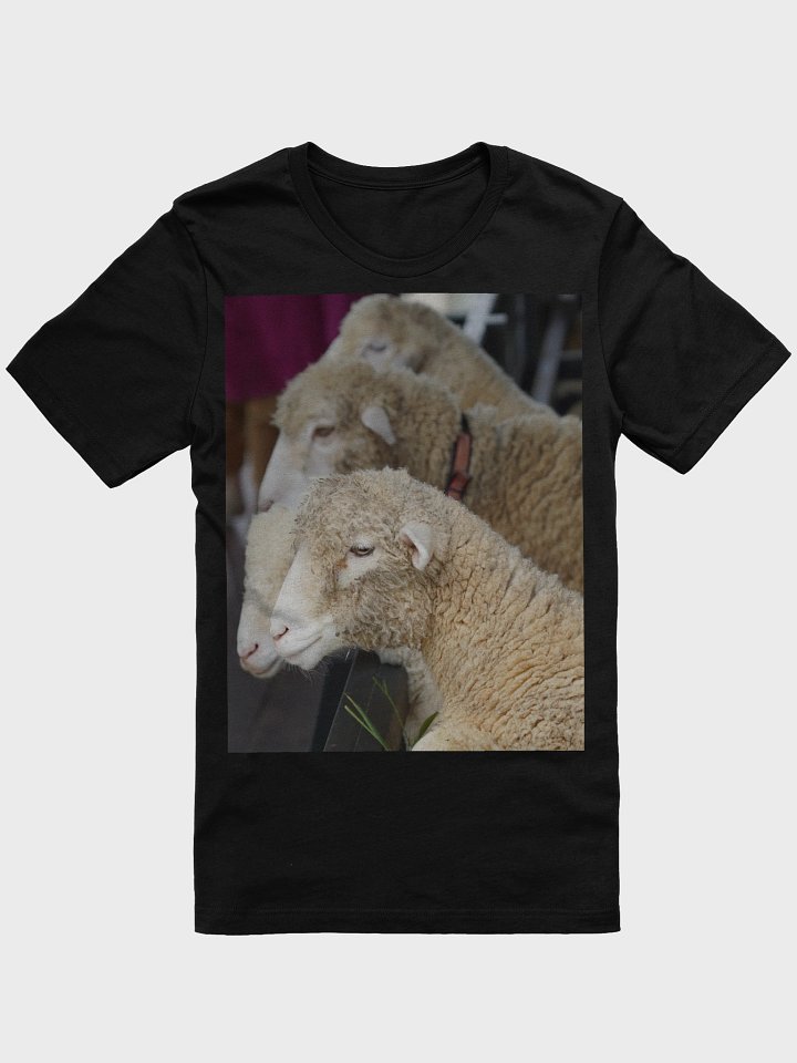 Curly Comfort Sheep T-Shirt product image (1)
