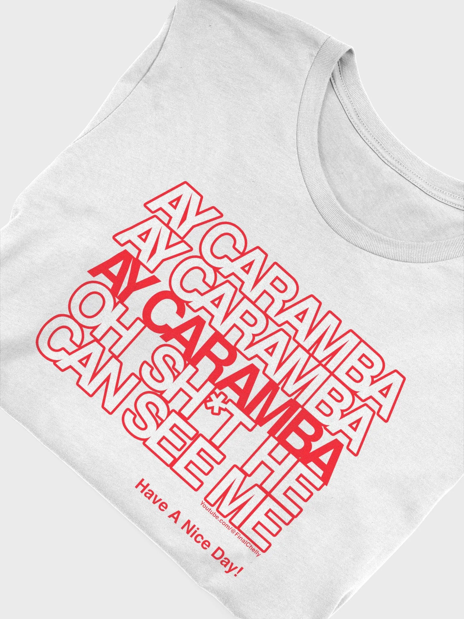 Ay Caramba Supersoft 100% Cotton Printed Tee product image (4)