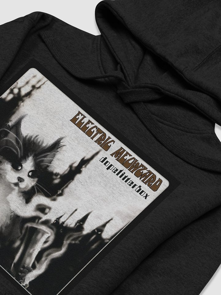 ELECTRIC MEOWZARD HOODIE product image (2)