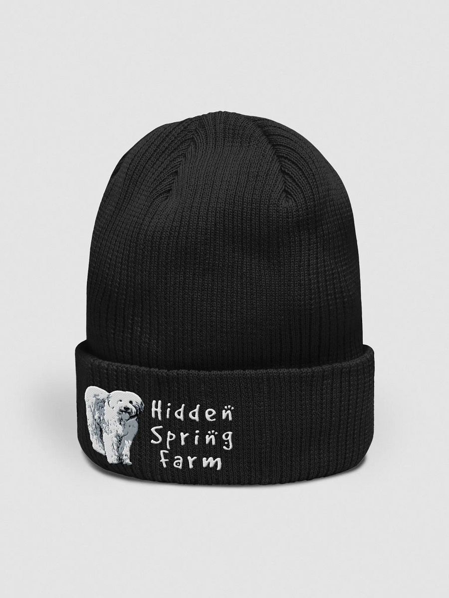 HSF Beanie product image (2)