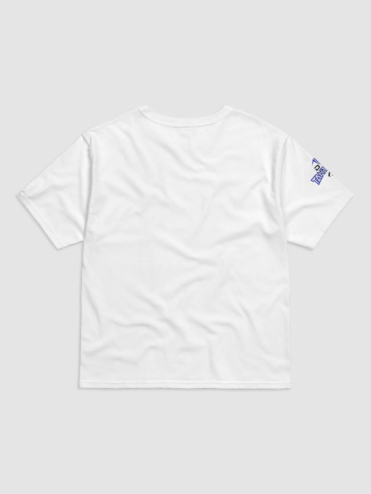 Lion's Den Champion T-Shirt (Men's Relaxed Fit) product image (6)