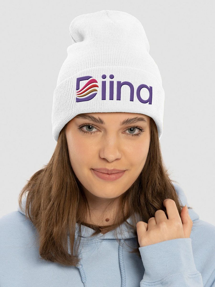 Diina Logo Embroidered Beanie product image (3)
