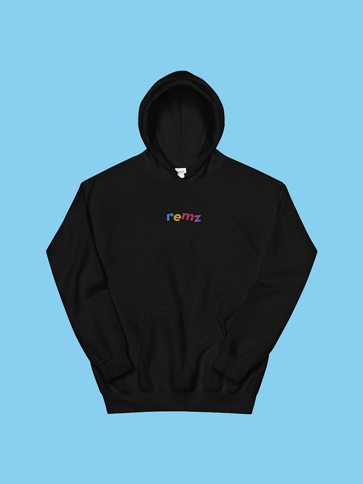 Embroidered Hoodie product image (1)