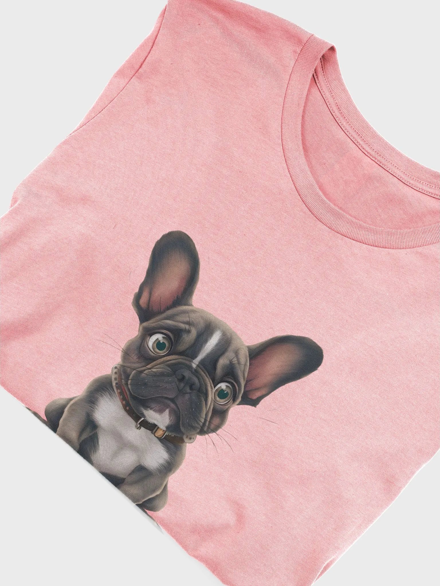 French Bulldog puppy product image (5)