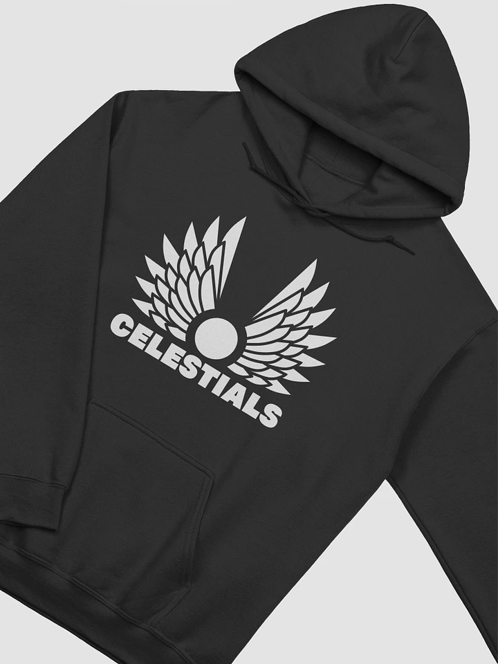 Celestials Hoodie product image (1)