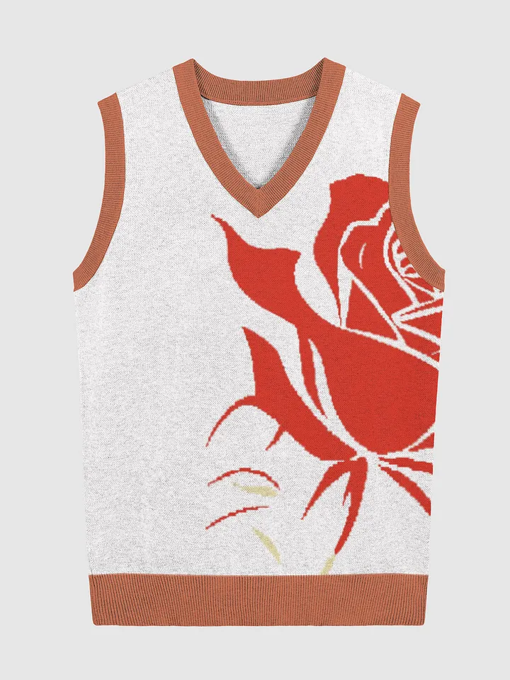 Fearfully and Wonderfully Made Knitted V-Neck Vest product image (1)