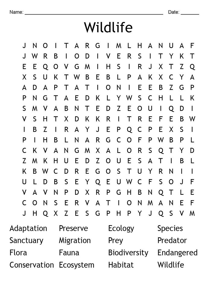 Printable Wildlife Word Search – 16 Key Terms! product image (1)