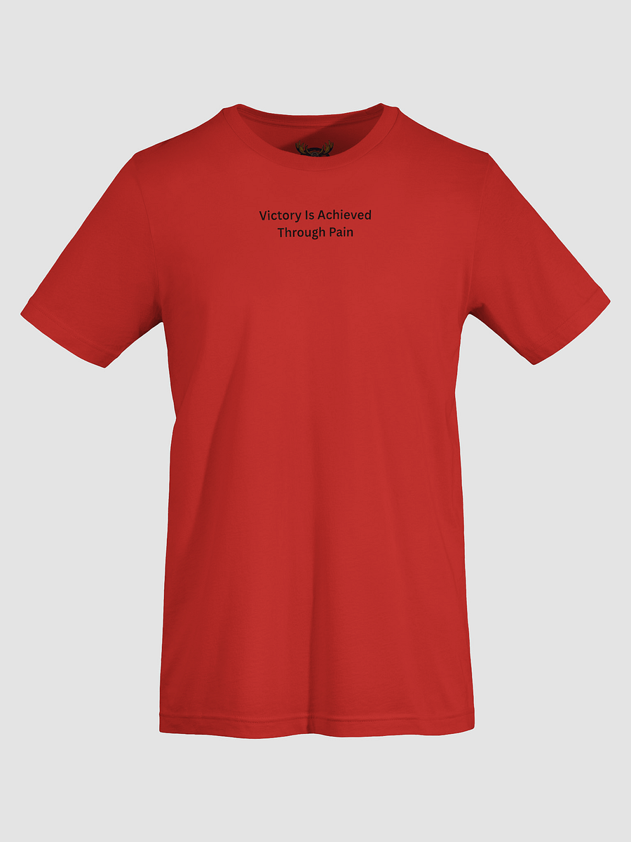 Victory Through Pain product image (69)