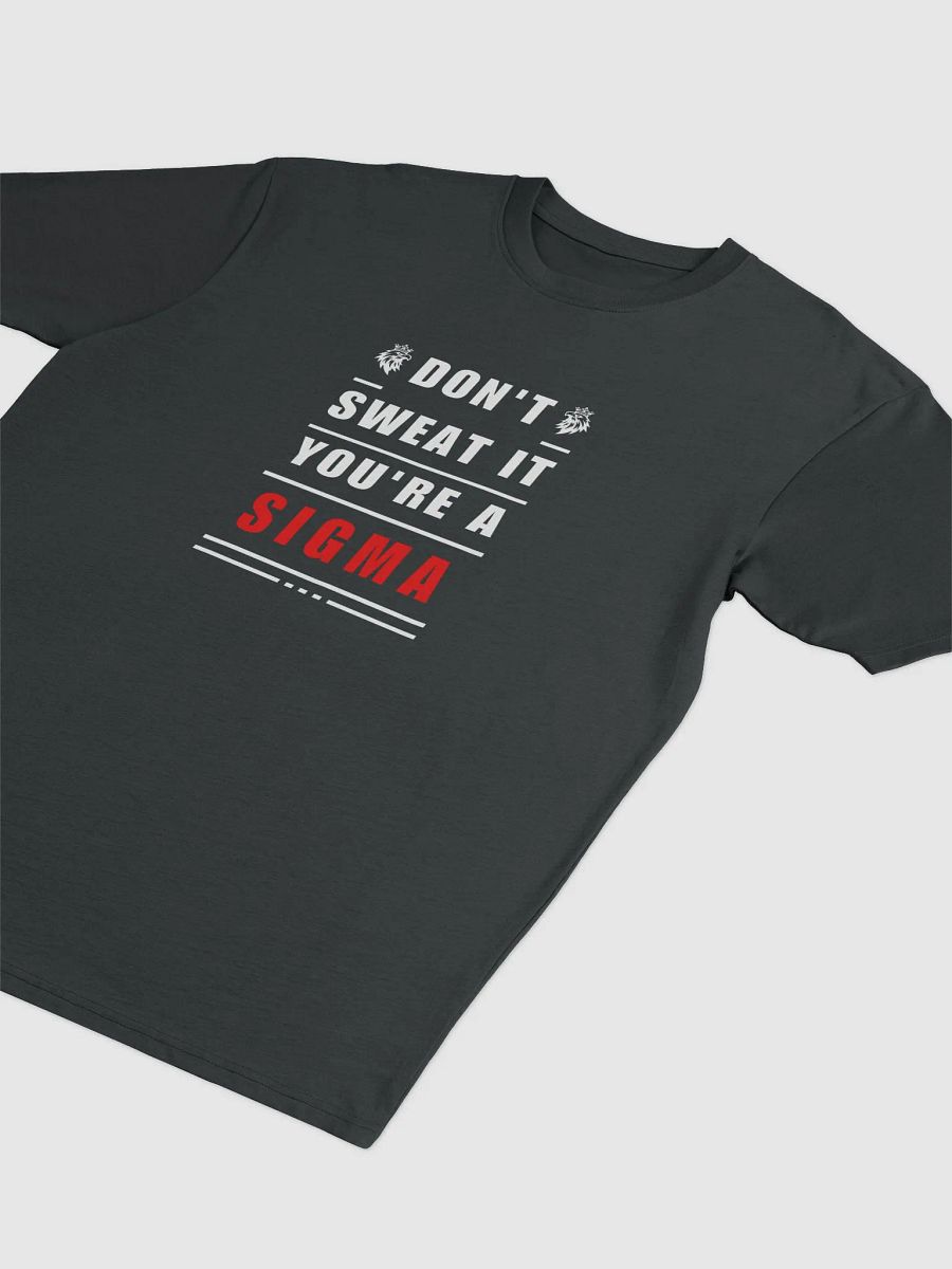 Don't Sweat it, you're a Sigma product image (4)