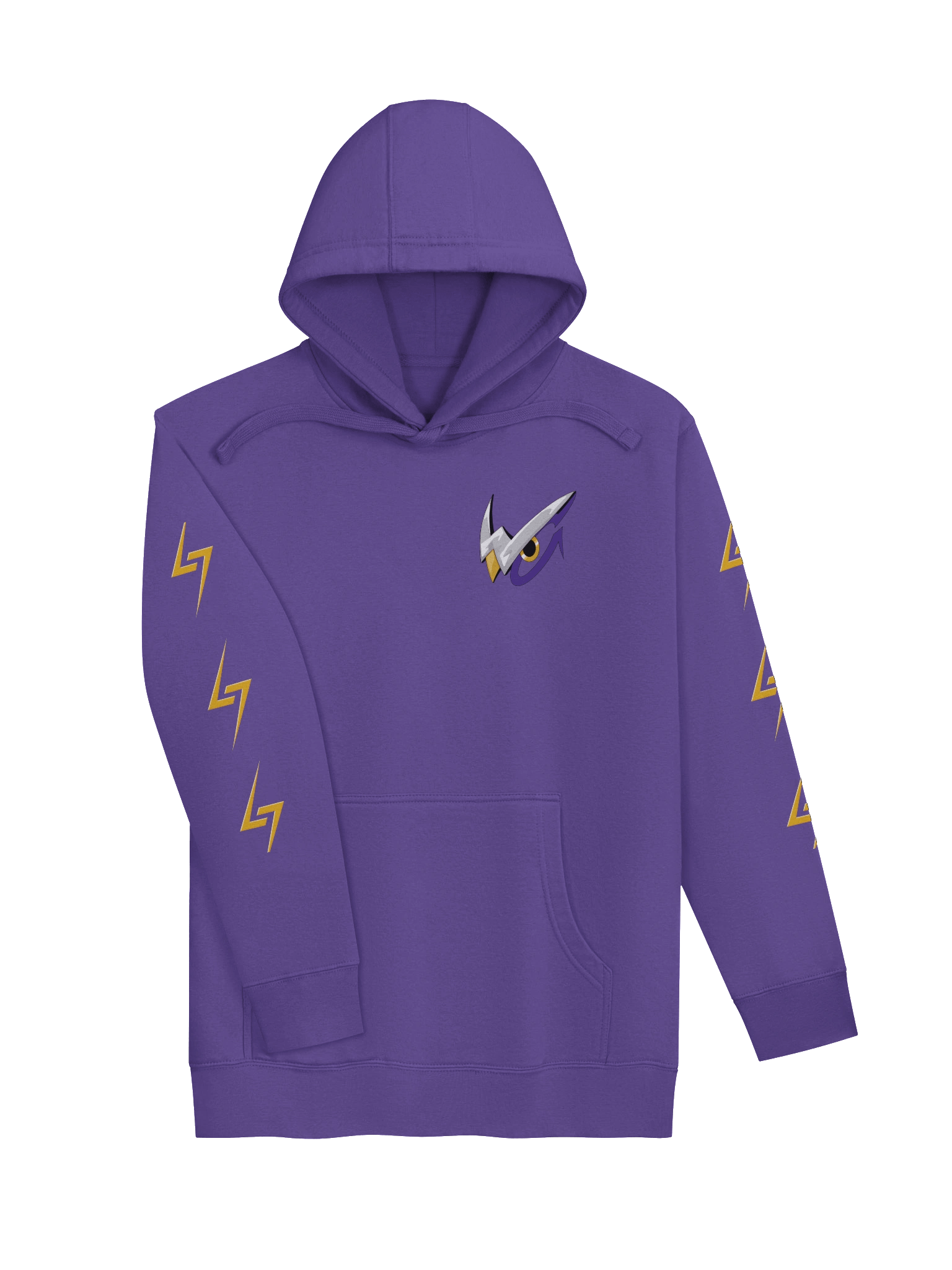 Winguardians Team Hoodie product image (14)
