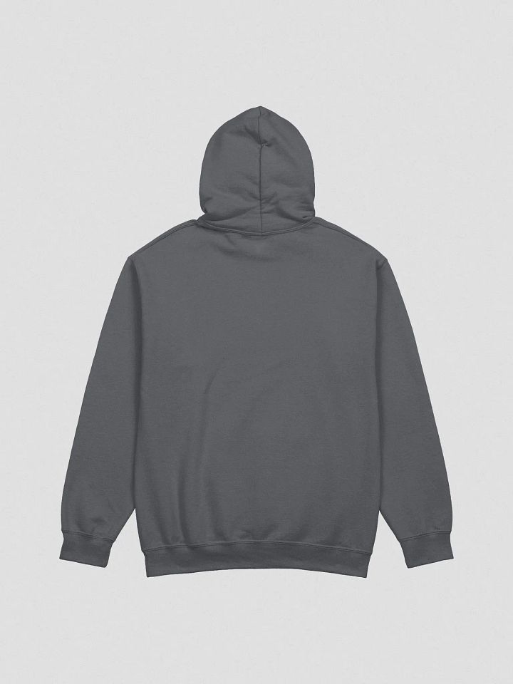 Facetious Hoodie (White Text) product image (4)