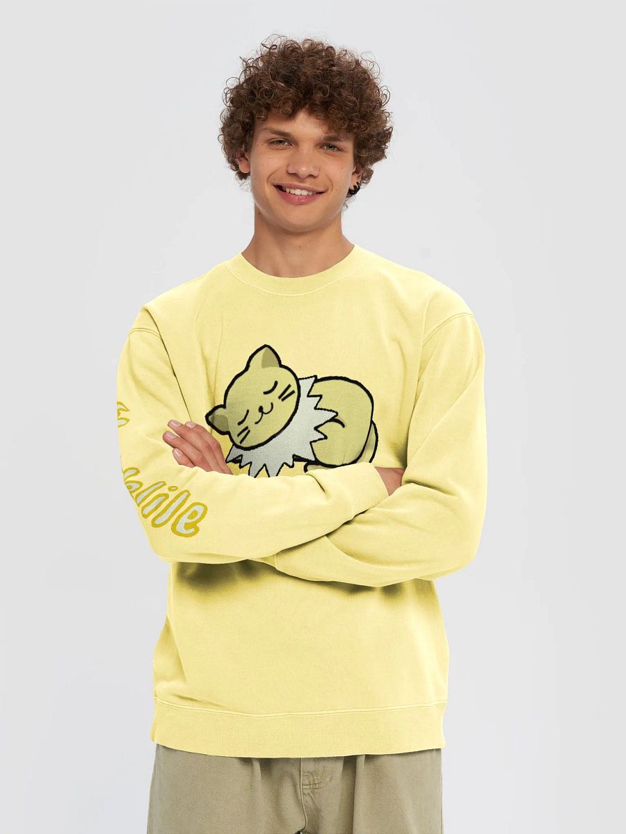 Special Cat Sleeping Sweatshirt product image (3)