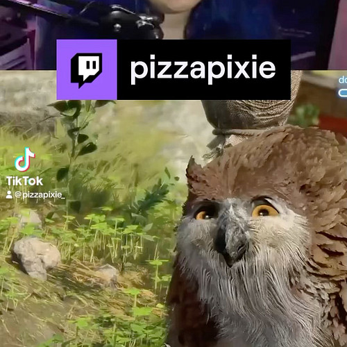 Petting dogs in video game sis cool but petting owlbears is better. 

#dnd #dungeonsanddragons #twitch #rpg #ttrpg #fantasy #...