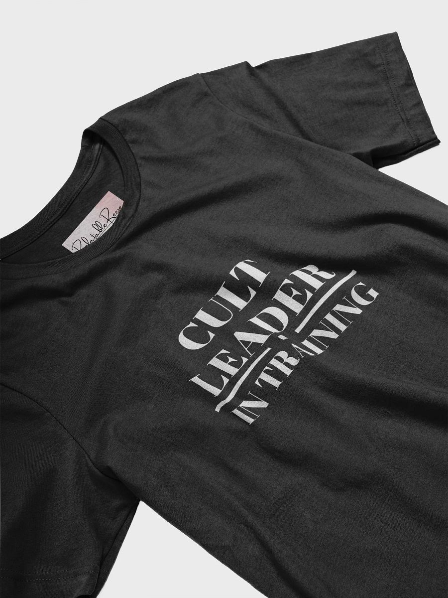 Cult Leader In Training T-Shirt product image (23)
