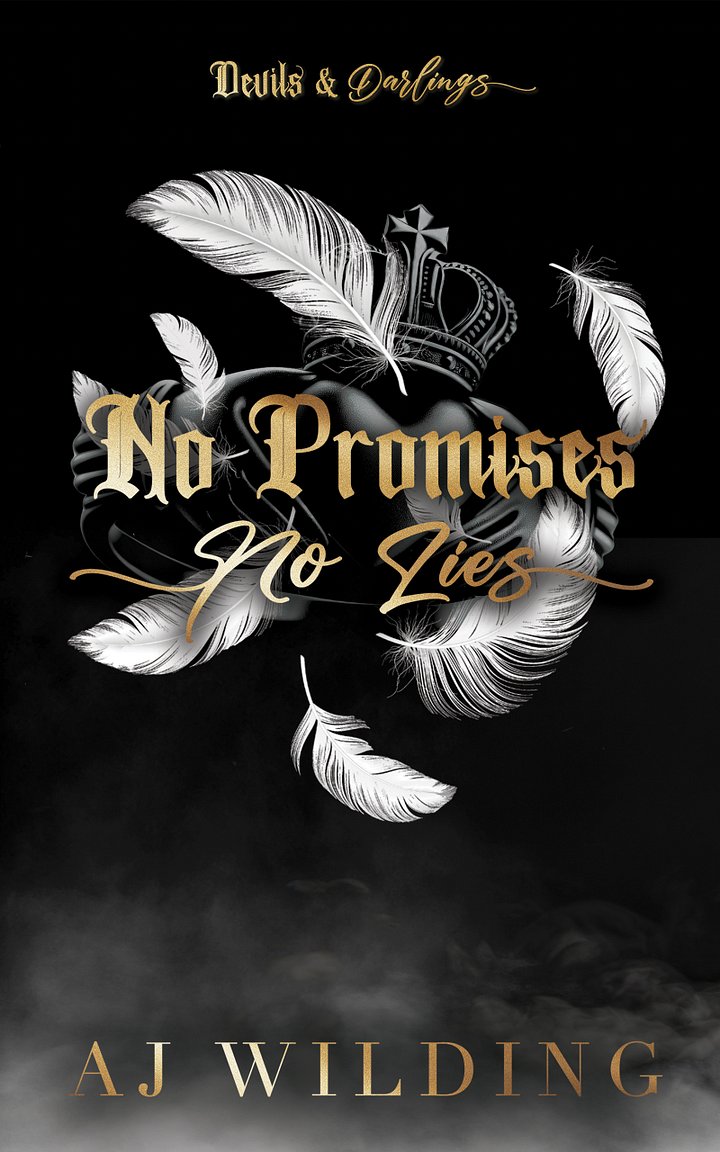 No Promises, No Lies - Signed Paperback (Discreet Edition) product image (1)