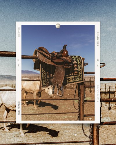 Countryside — where the Wild Ones roam. 🤎