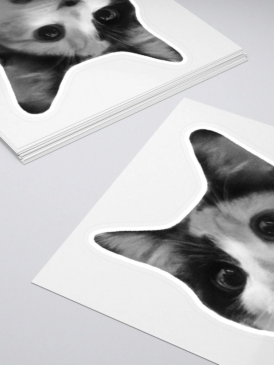 SPOINS - Sticker product image (4)
