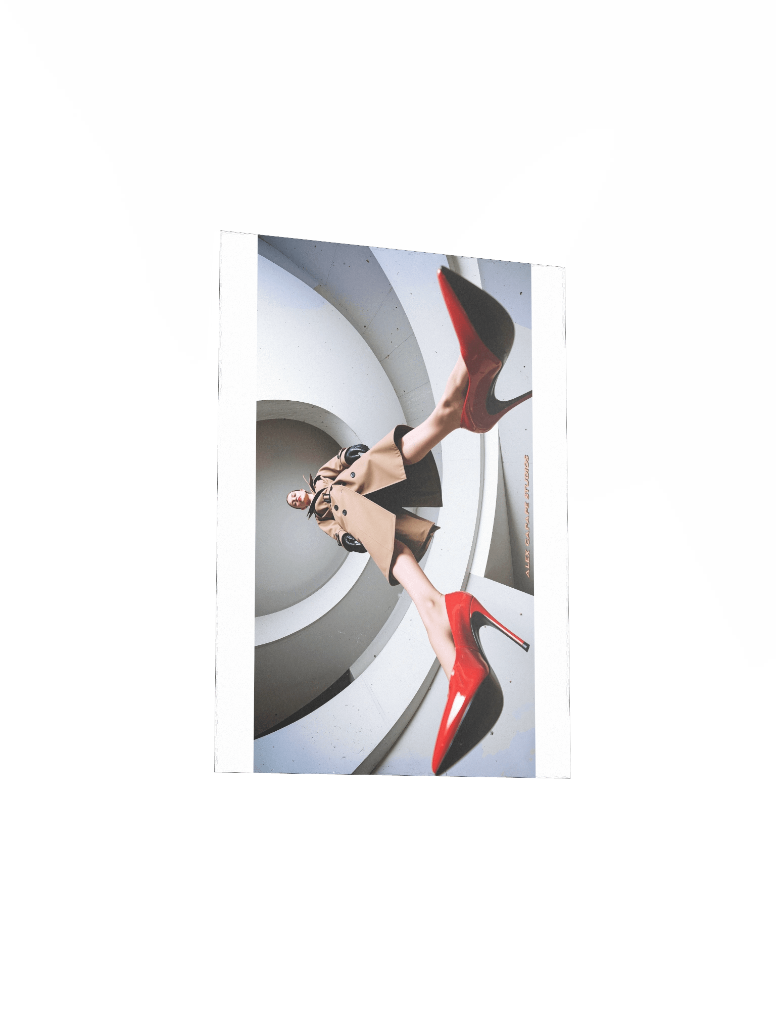 Dorothy III product image (12)