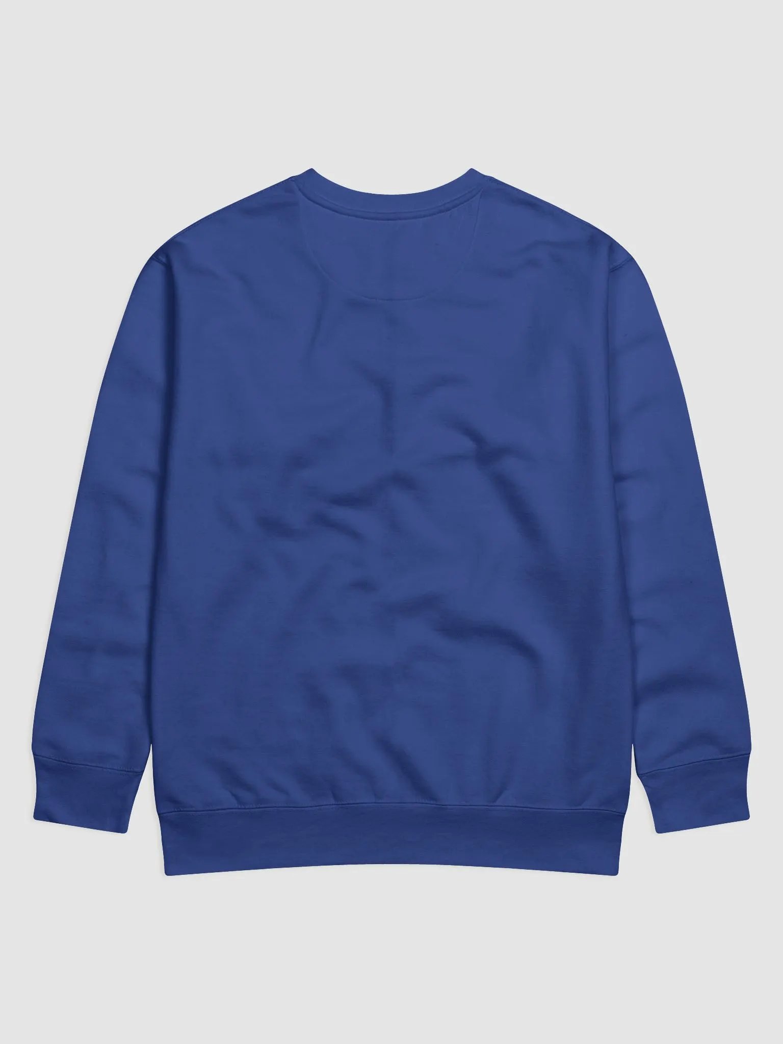 ACES logo sweatshirt product image (6)