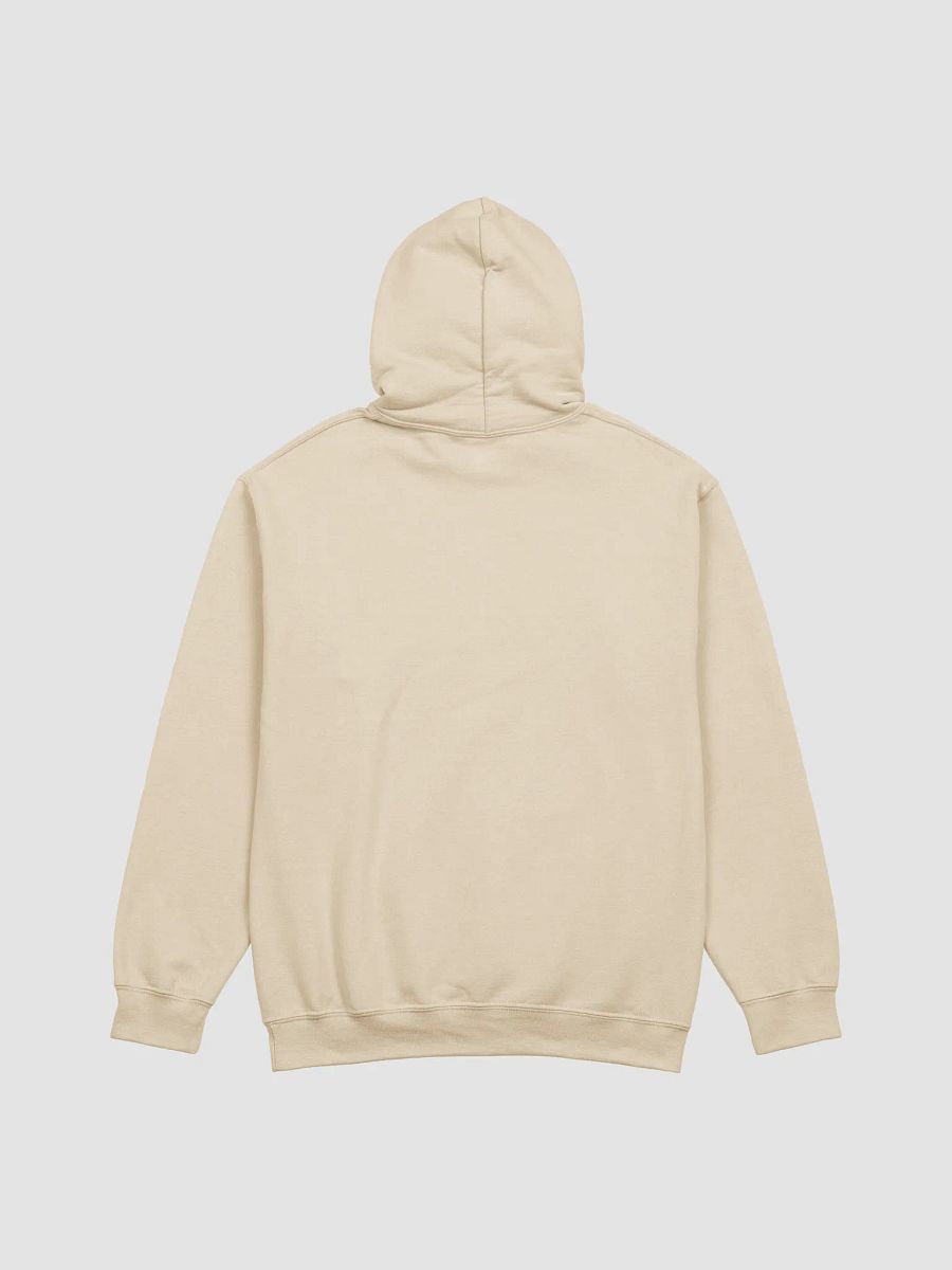 Born to jest forced to joust Hoodie product image (4)