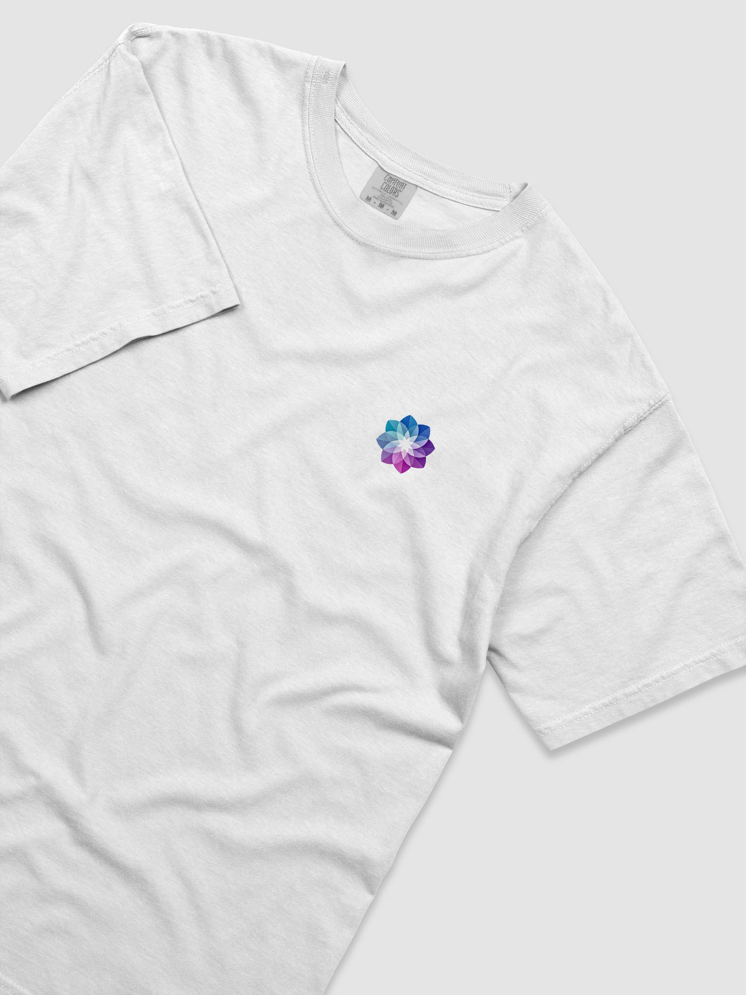 1StellarLife Heavyweight T-Shirt product image (3)