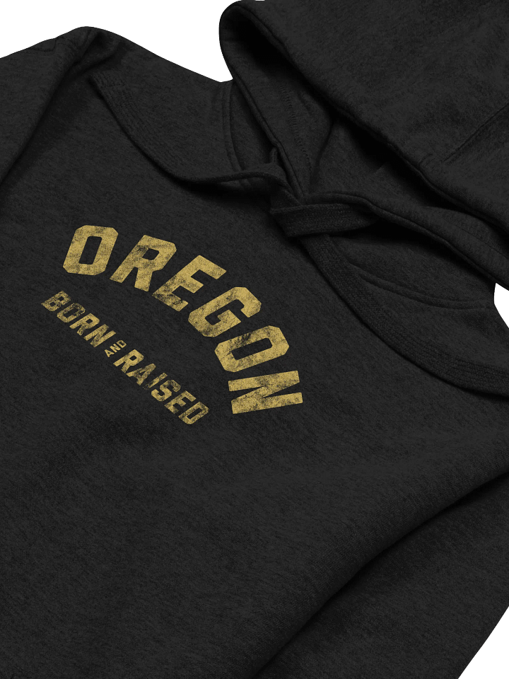 Oregon Born and Raised Hoodie product image (2)