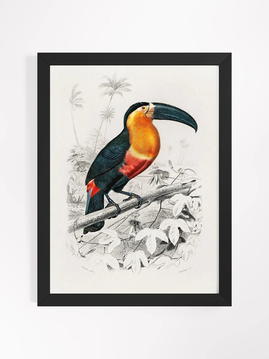 Toucan product image (3)