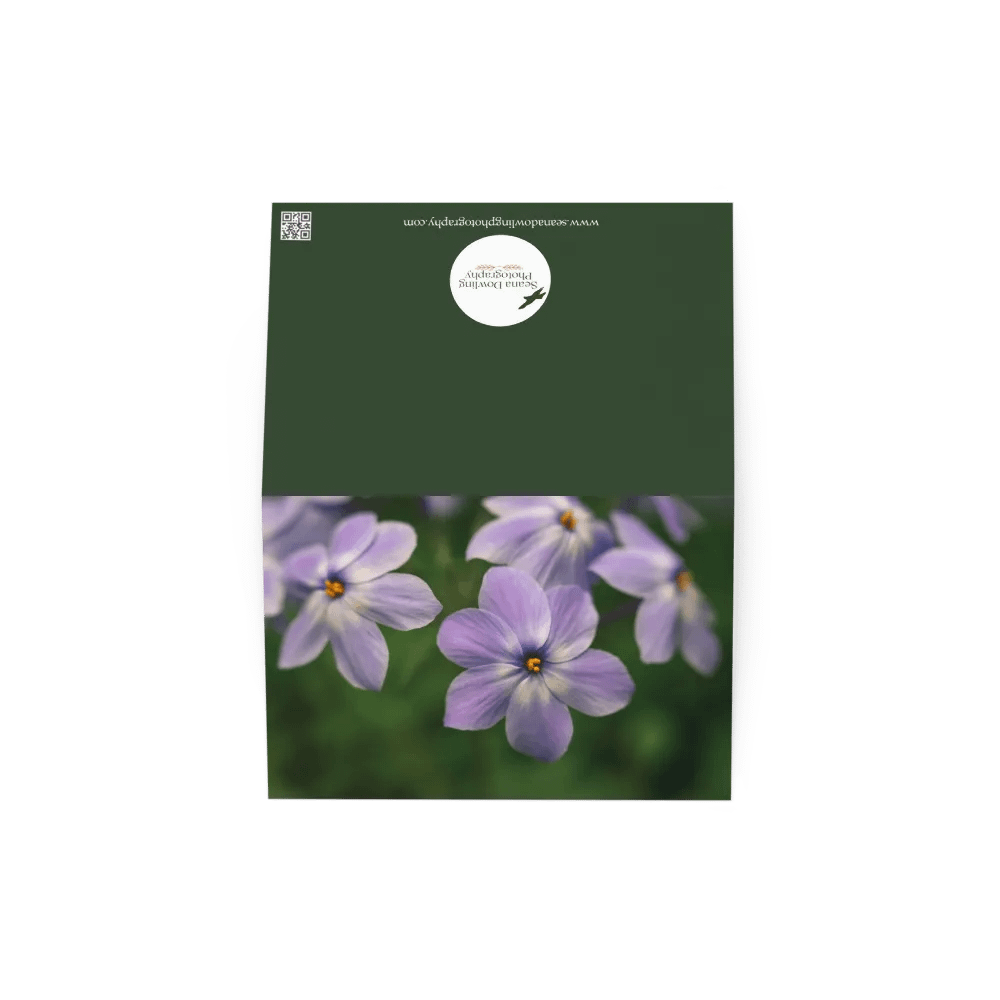Dreamy Phlox Notecard product image (3)