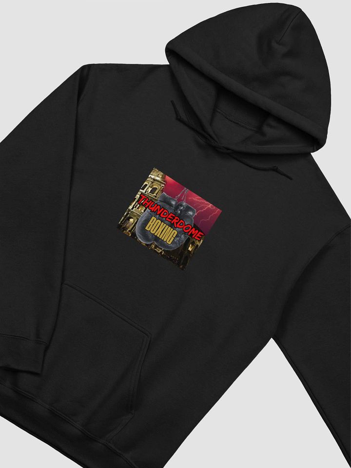 ThunderDome Hooded Sweatshirt !! product image (1)