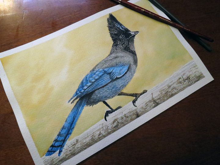 Stellar's Jay - Original Watercolor Painting product image (1)