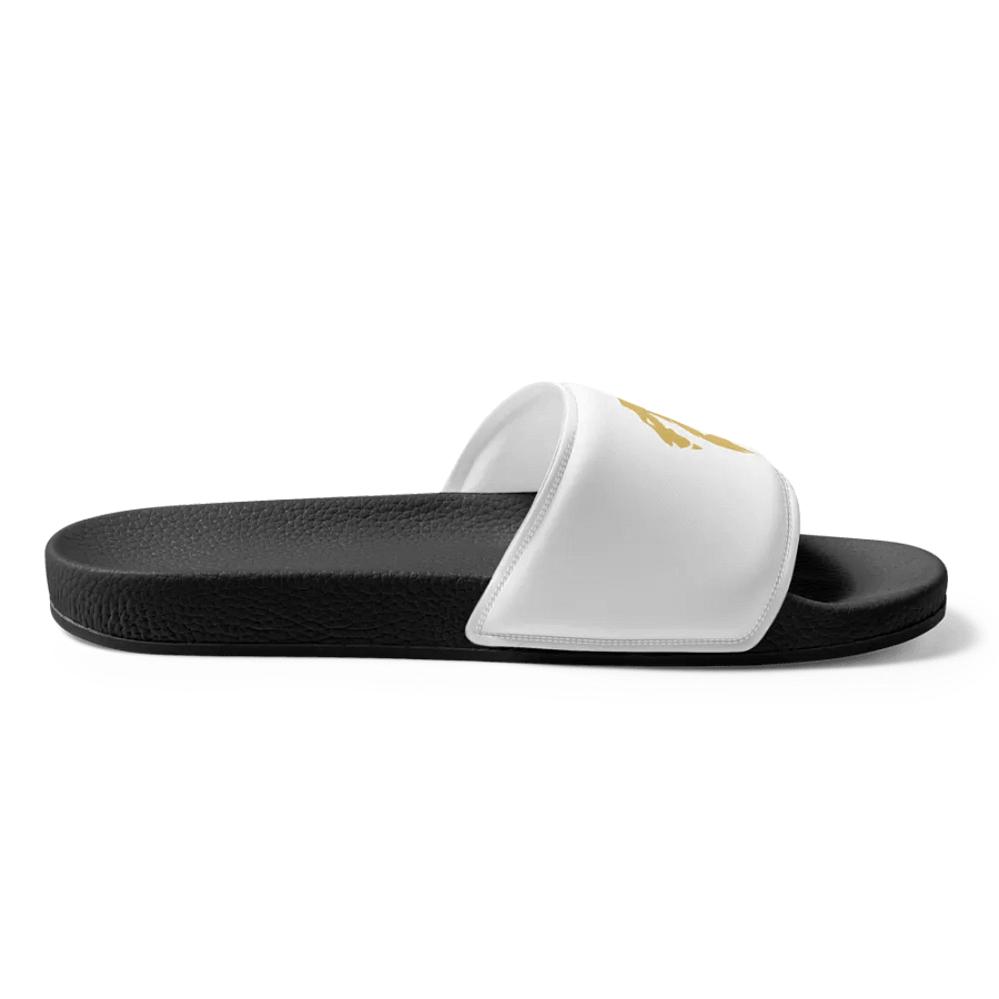 KD Hill Slides product image (6)