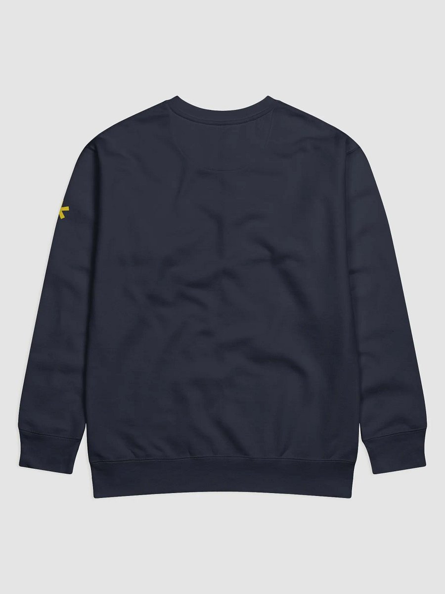 Introvert Premium Sweatshirt product image (4)