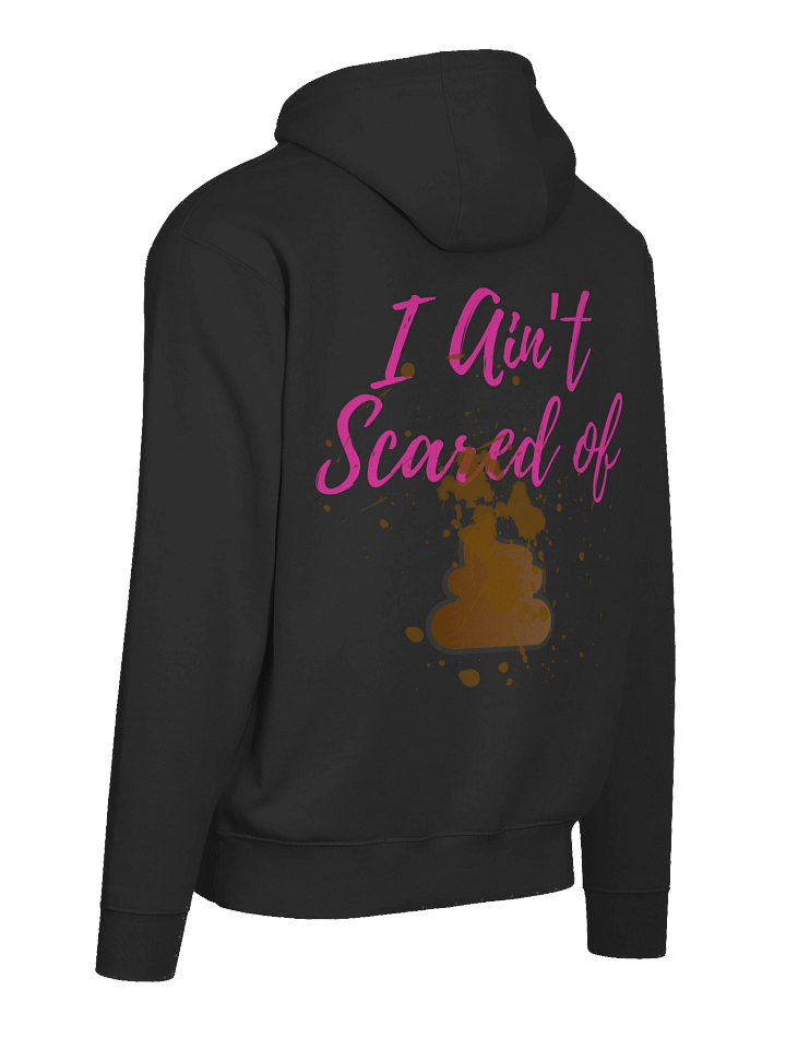 TSG Ain't Scared Hoodie product image (2)