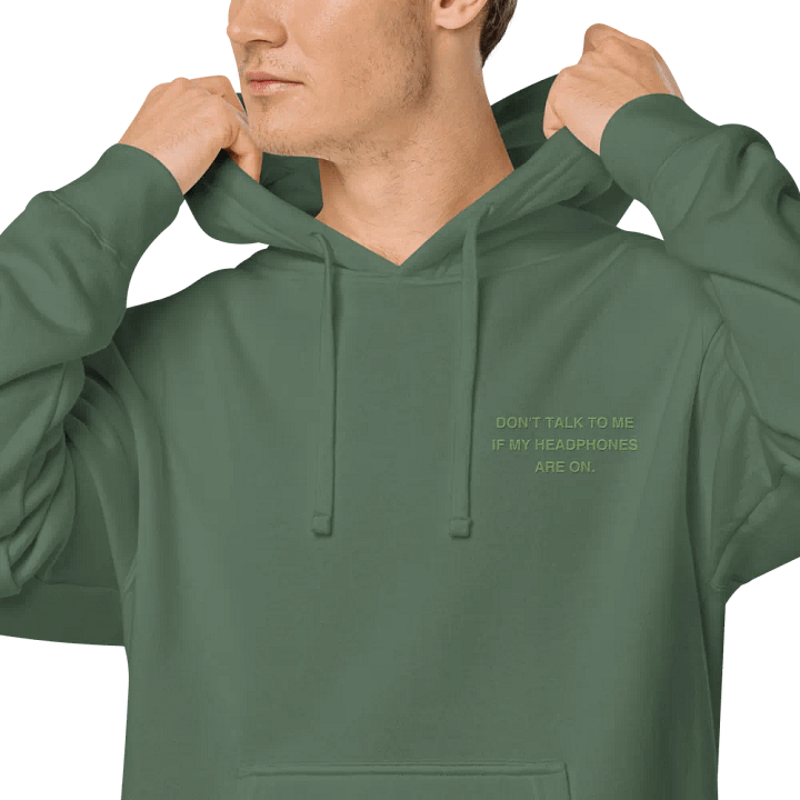 L.C. HEADPHONES ON (light green) embroidered pigment hoodie product image (1)