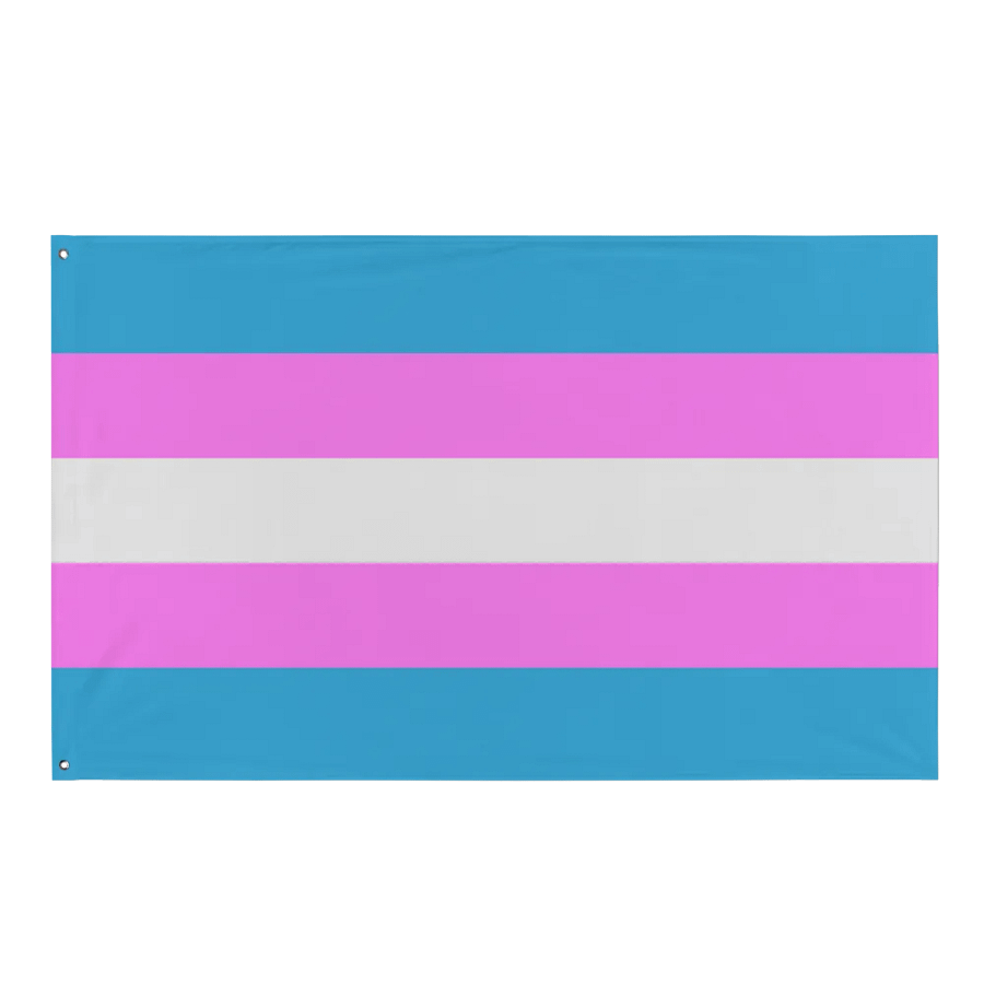 Trans Pride Flag product image (1)