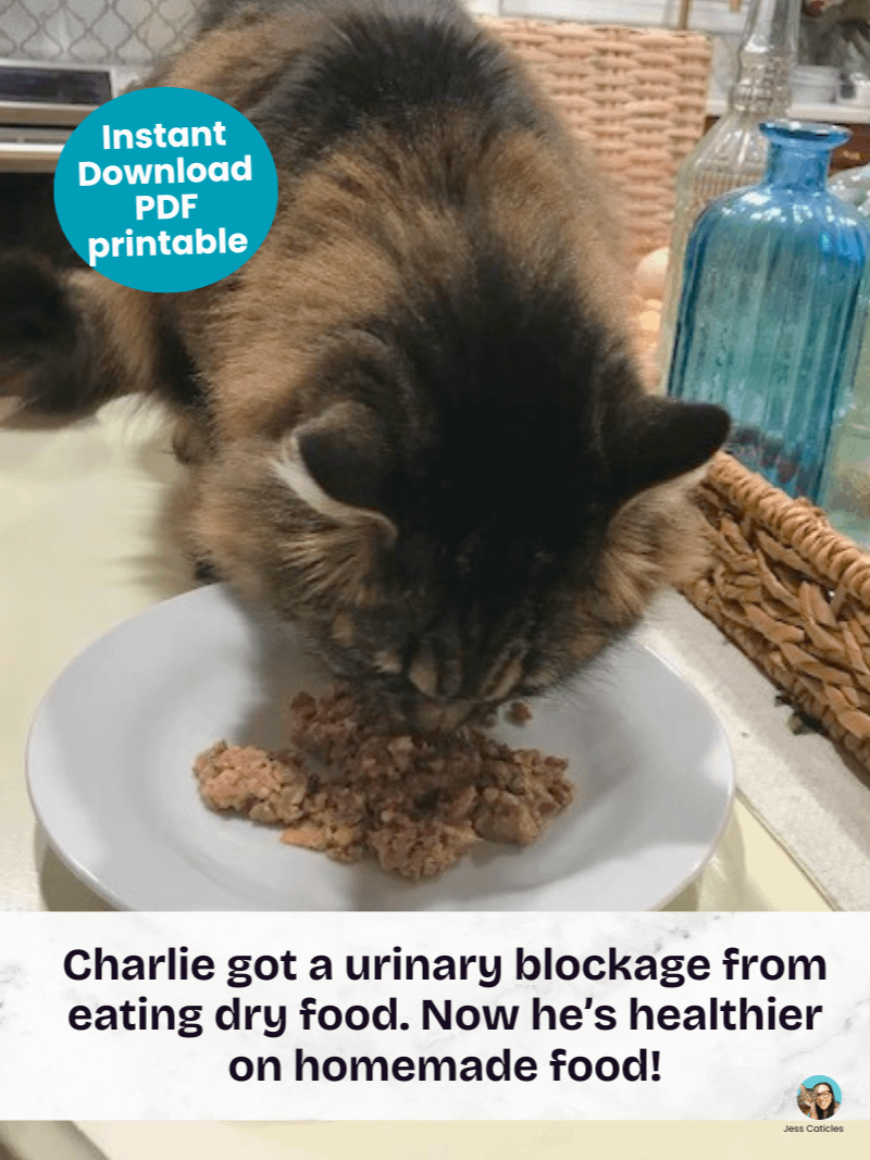Cooked chicken cat food recipe ~ 1 recipe for adult cats product image (9)