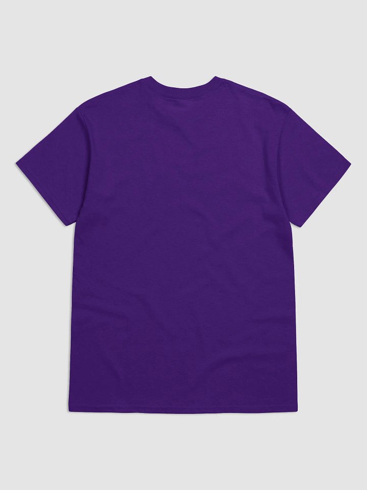 The Donna Howell Show Bible-Flourish T-Shirt product image (2)