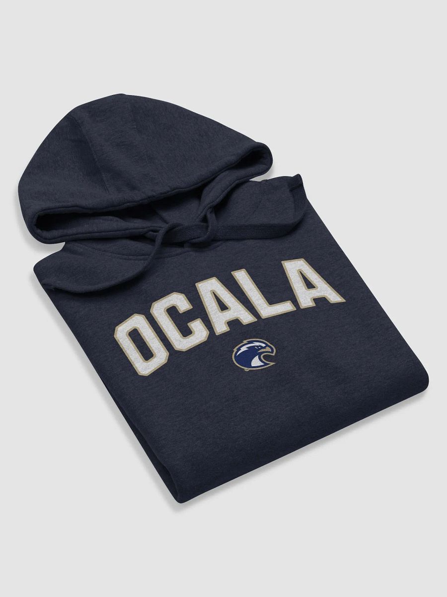 Ocala Eagle Emblem Hoodie product image (5)