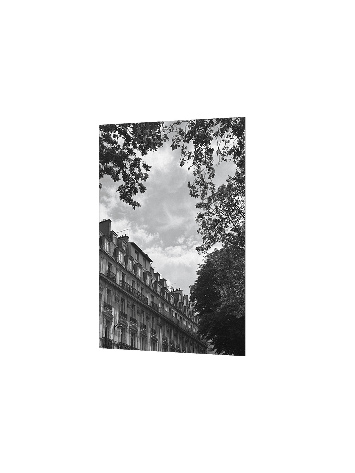 Toits ciel parisien dé-saturé (impression) product image (2)