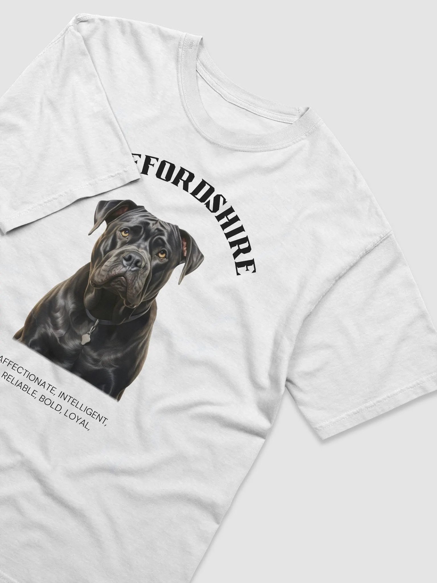 Staffordshire White Relaxed Fit T-shirt product image (3)